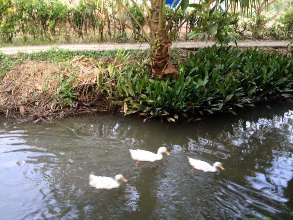 Nam Thanh Homestay Vĩnh Long المظهر الخارجي الصورة
