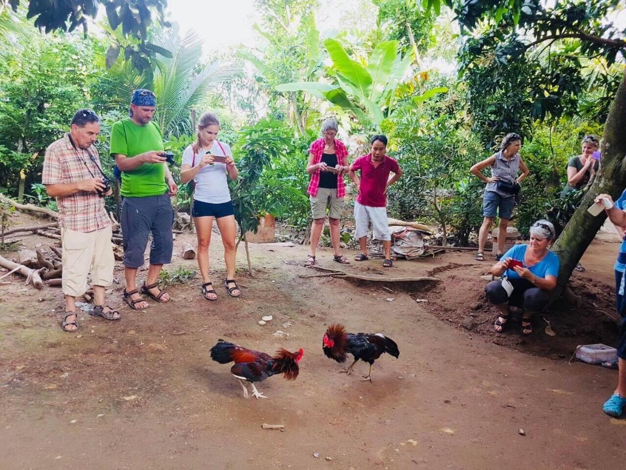 Nam Thanh Homestay Vĩnh Long المظهر الخارجي الصورة