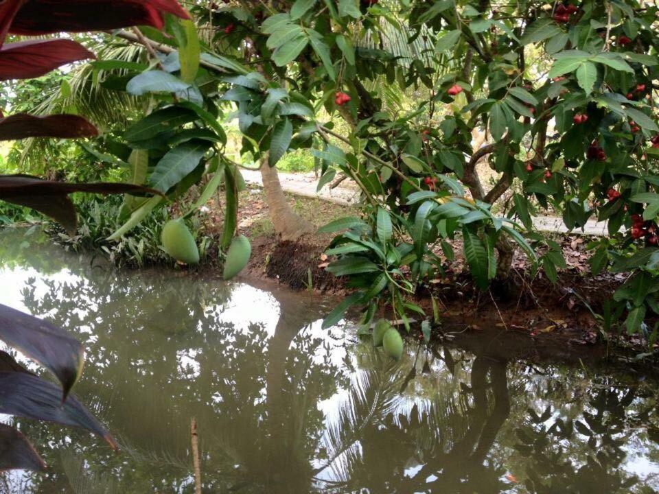 Nam Thanh Homestay Vĩnh Long المظهر الخارجي الصورة